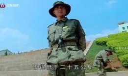 history系列在线观看视频在线观看,history系列视频深度解析